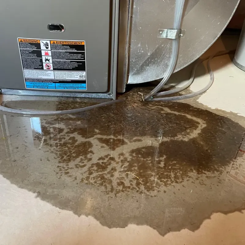 Appliance Leak Cleanup in Bridgewater, NJ